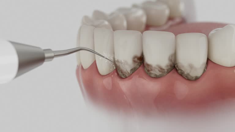 Reliable Dental contractor in Union City, NJ by Dentist Open Now